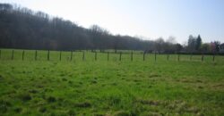 Réf : GES61120001-931,  pièce(s), COURS ET BUIS