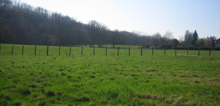 Réf : GES61120001-931,  pièce(s), COURS ET BUIS