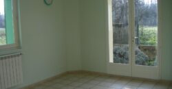 Réf : GES61120001-931,  pièce(s), COURS ET BUIS