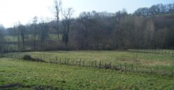 Réf : GES61120001-931,  pièce(s), COURS ET BUIS