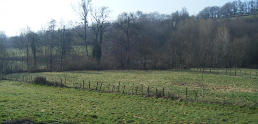 Réf : GES61120001-931,  pièce(s), COURS ET BUIS