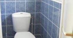 Réf : GES61120001-931,  pièce(s), COURS ET BUIS