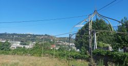 Réf : GES61600003-931, 4 pièce(s), SAINT ROMAIN EN GAL